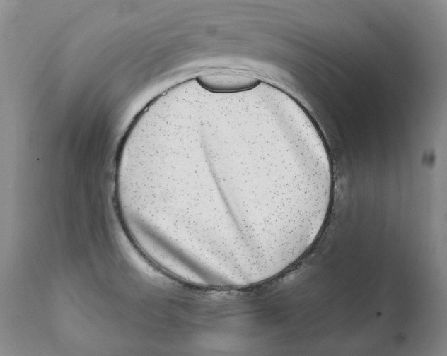 X0000112361523200909101244