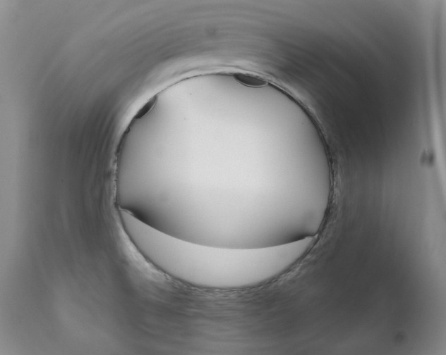 X0000112361524200909101244