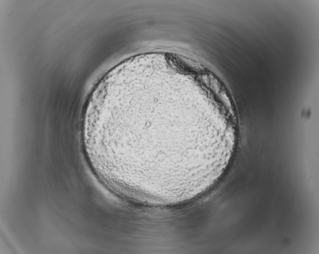 X0000112361525200909101244