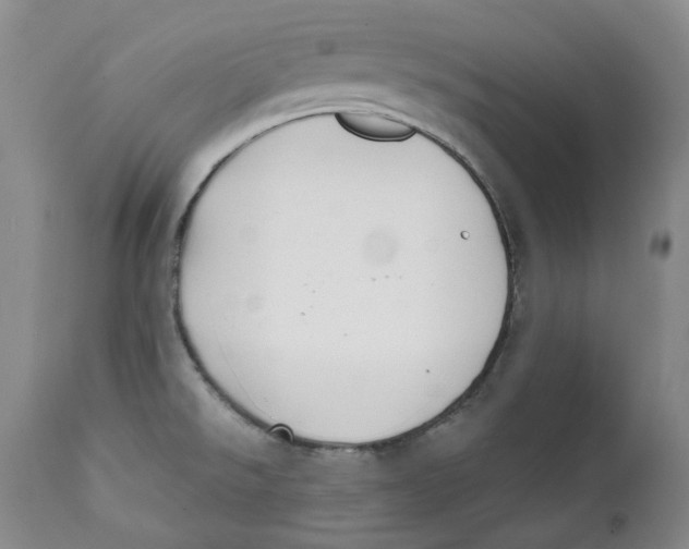 X0000112361526200909101244