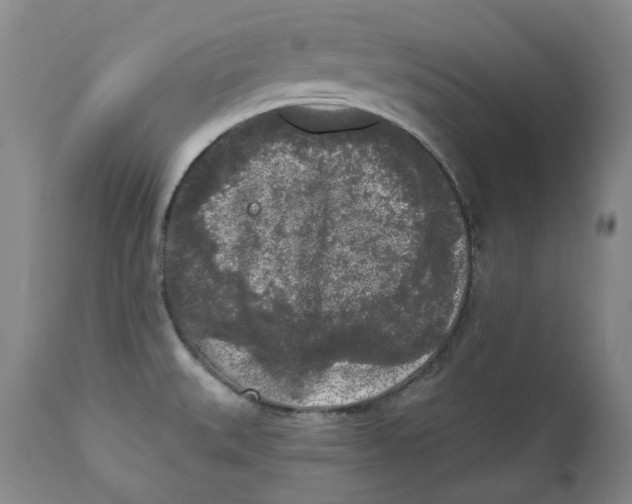 X0000112361527200909101244