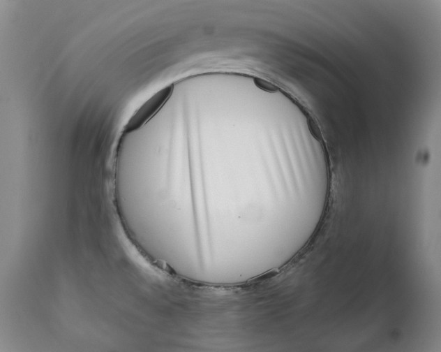 X0000112361528200909101244