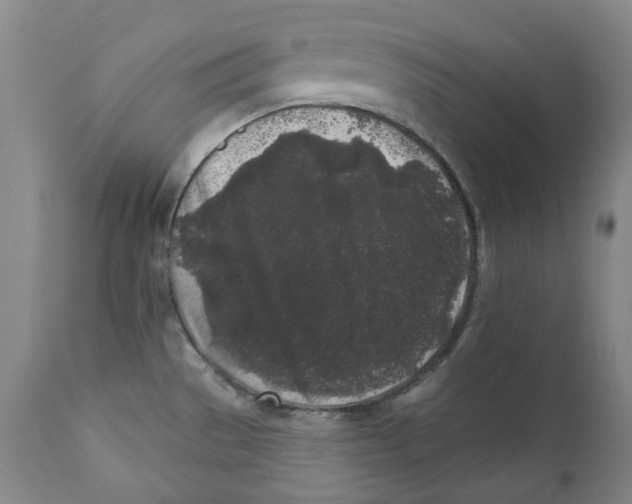X0000112361529200909101244