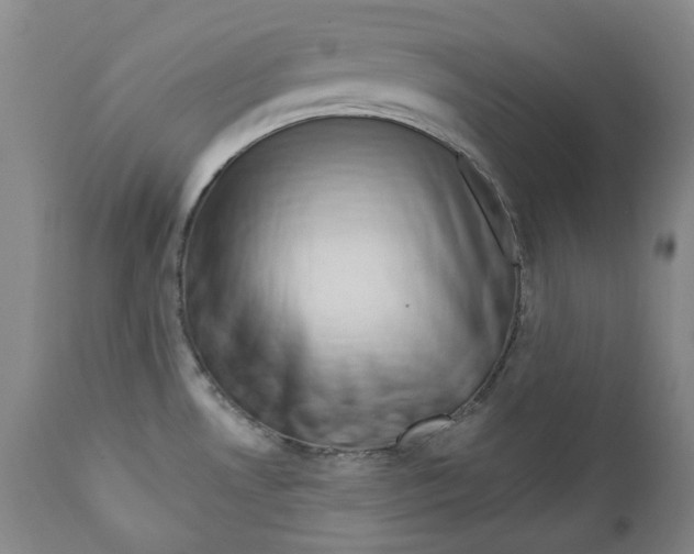 X0000112361530200909101244