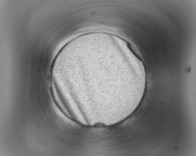 X0000112361531200909101244