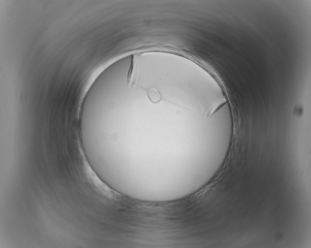 X0000112361532200909101244