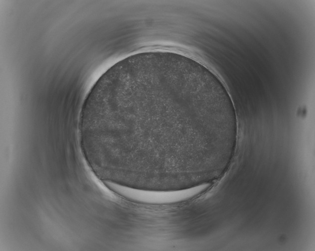 X0000112361533200909101244