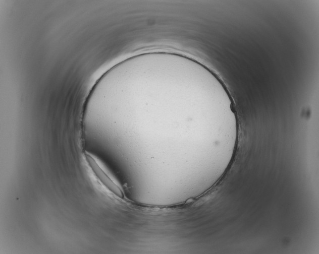 X0000112361534200909101244