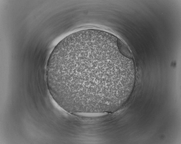 X0000112361535200909101244