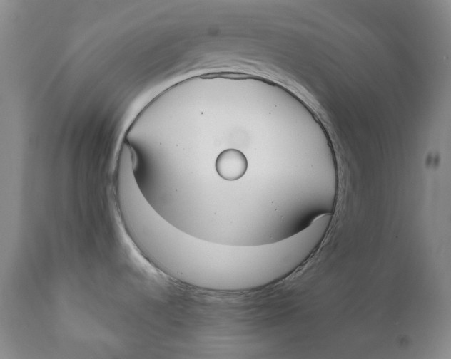 X0000112361536200909101244