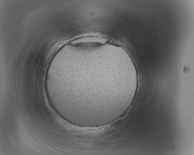 X0000112360001200909241137