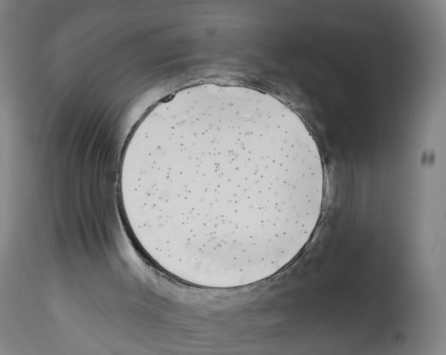 X0000112360003200909241137
