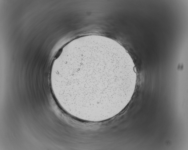 X0000112360004200909241137