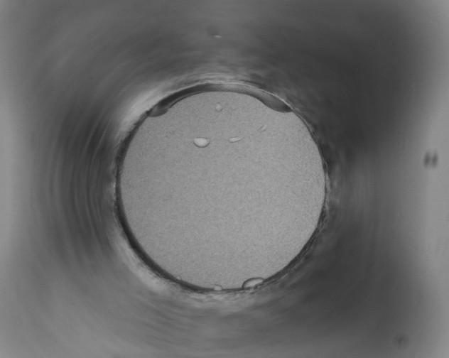X0000112360005200909241137