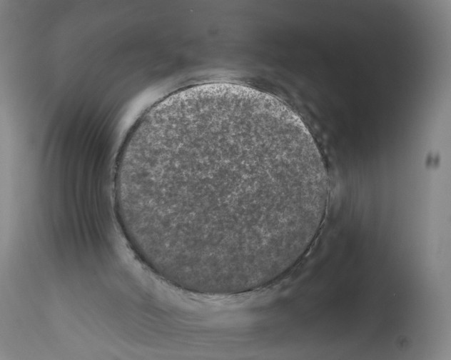 X0000112360006200909241137