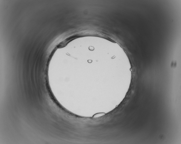 X0000112360007200909241137