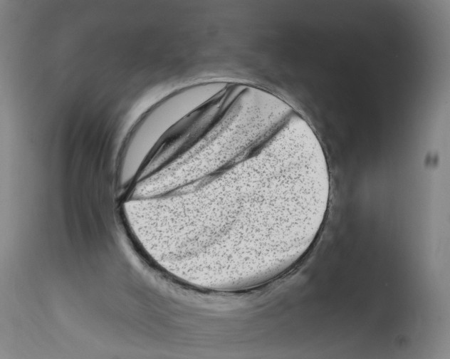 X0000112360008200909241136