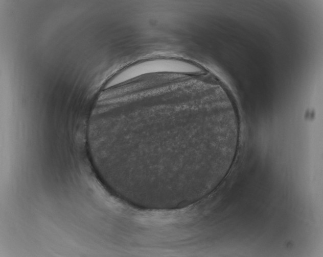 X0000112360009200909241136