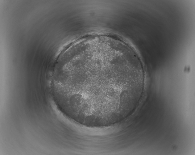 X0000112360010200909241136
