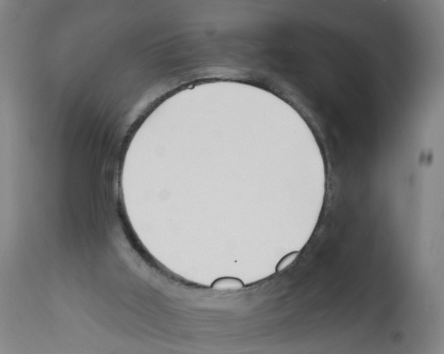 X0000112360011200909241136