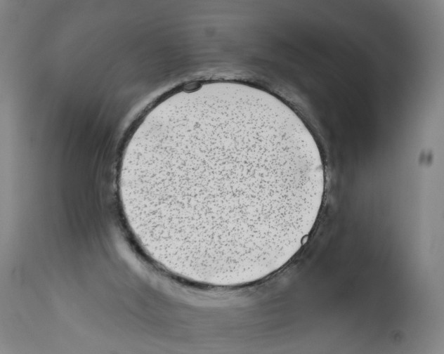 X0000112360012200909241136