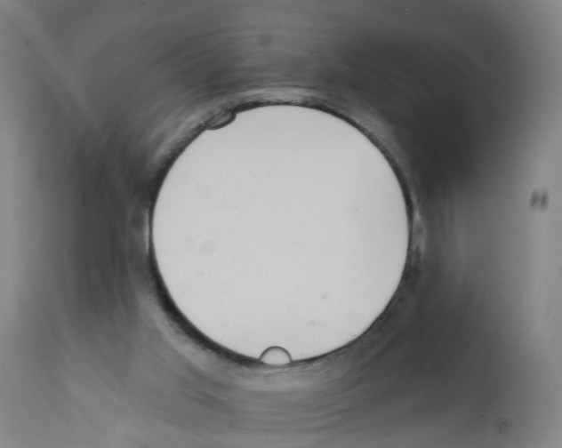 X0000112360013200909241136
