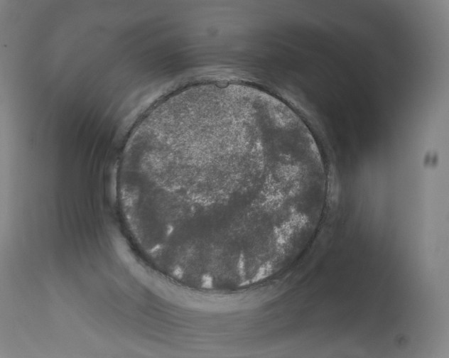 X0000112360014200909241136