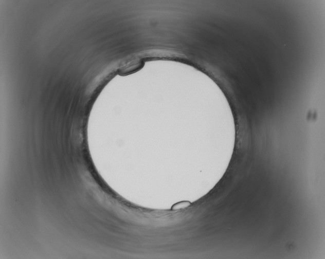 X0000112360015200909241136