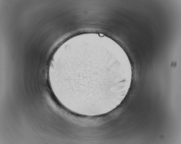 X0000112360016200909241136