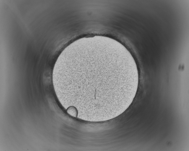 X0000112360017200909241136