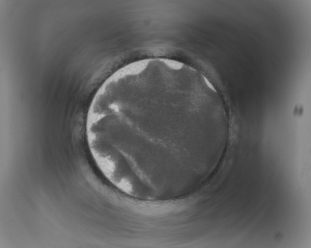 X0000112360018200909241136