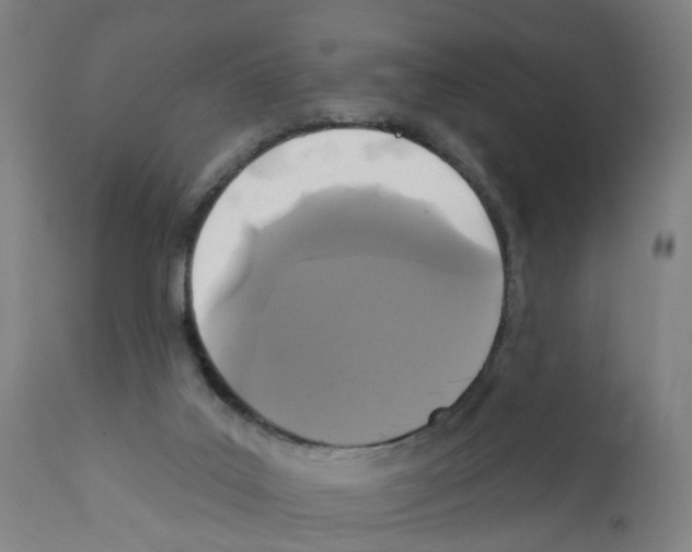 X0000112360019200909241136