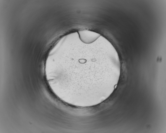 X0000112360020200909241136