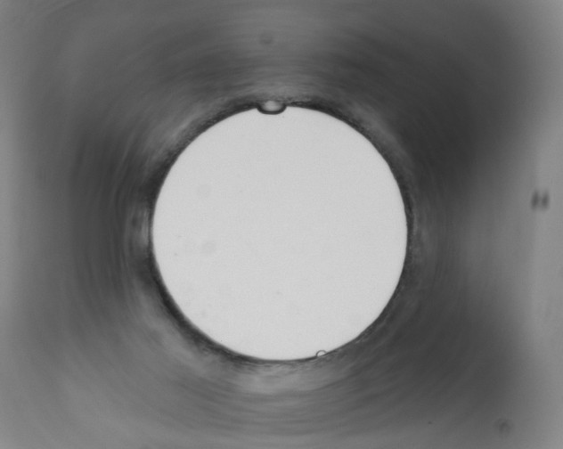 X0000112360021200909241136