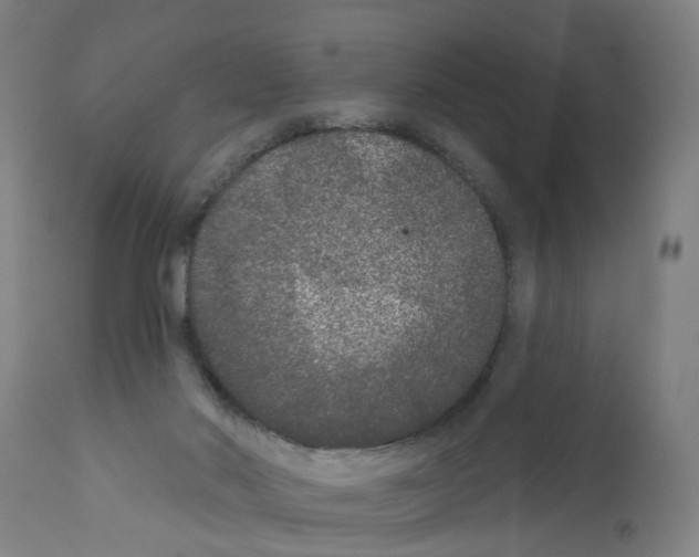 X0000112360022200909241136