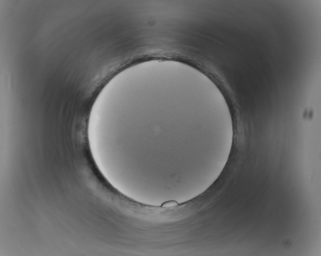 X0000112360023200909241136