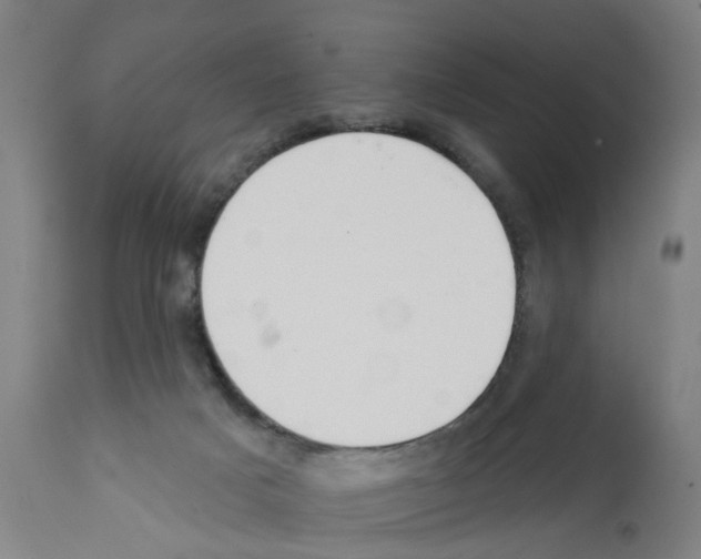 X0000112360025200909241136