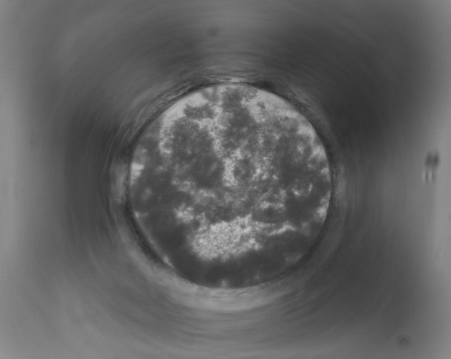 X0000112360026200909241136