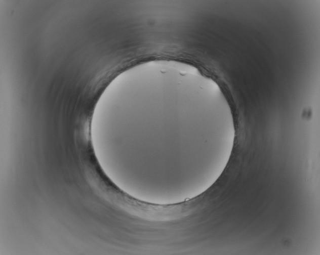 X0000112360027200909241136