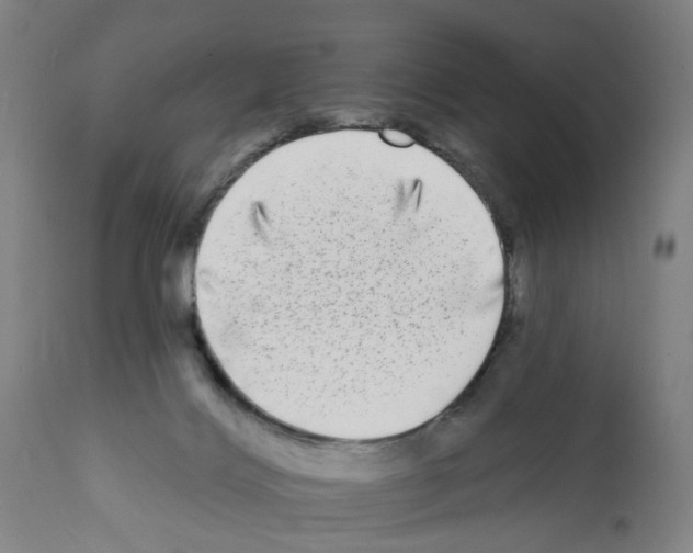 X0000112360028200909241136