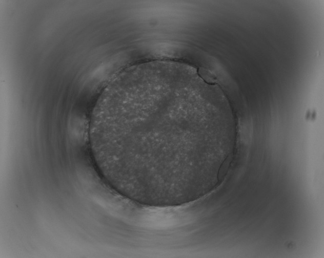 X0000112360029200909241136