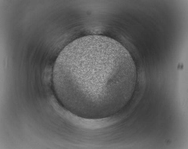 X0000112360030200909241136