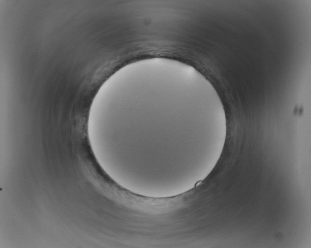 X0000112360031200909241136