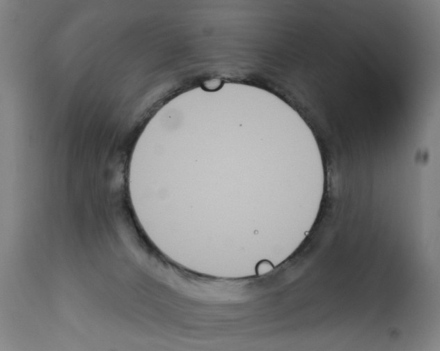 X0000112360032200909241136