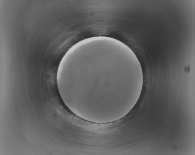 X0000112360035200909241136