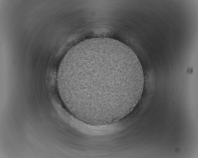 X0000112360038200909241136