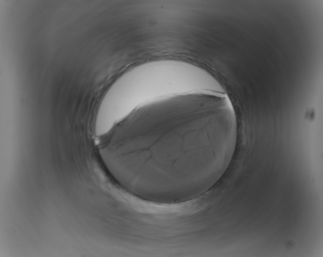 X0000112360039200909241136