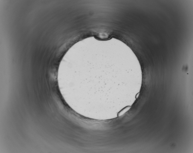 X0000112360040200909241136