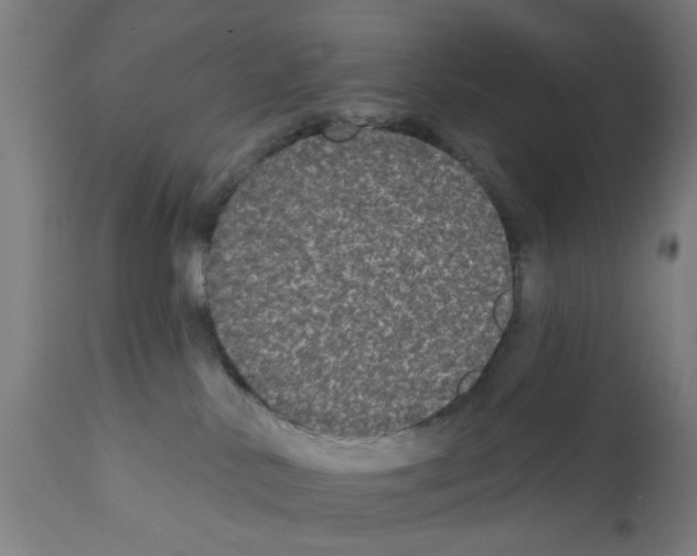 X0000112360042200909241136