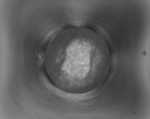X0000112360043200909241136